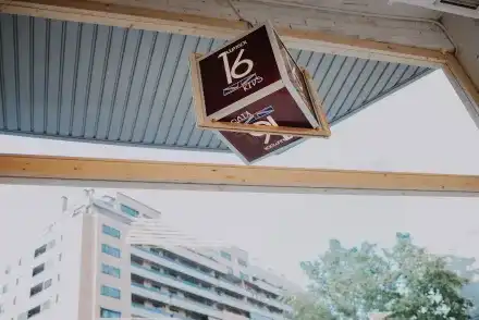 Academia N16