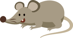 kisspng-computer-mouse-rat-drawing-vector-cartoon-mouse-5a8e6bf2e720b1.2976857515192831869467